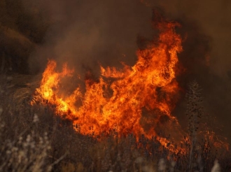 California en un Asador